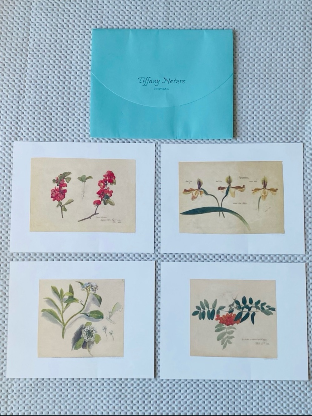 Tiffany & Co. (Tiffany Nature) Botanical Prints